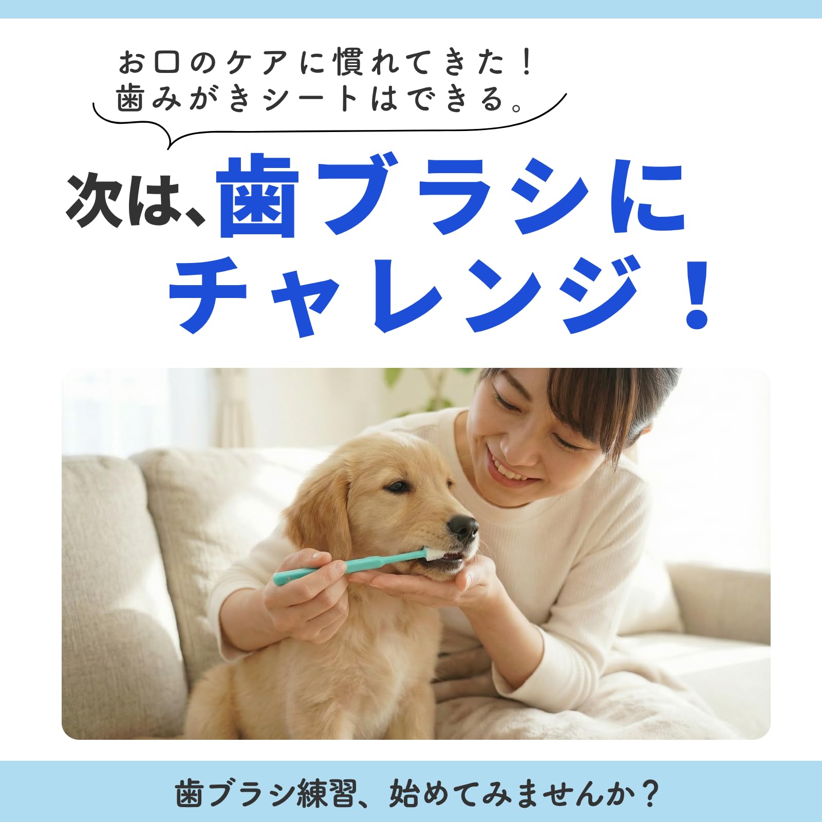 トーラス ペット用歯ブラシ360度タイプ デントレーナー